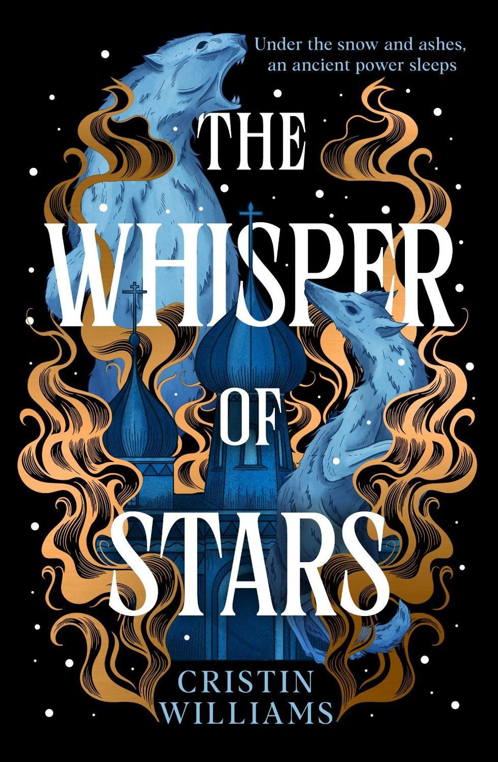 The Whisper of Stars by Cristin Williams - ISBN: 9781399621335