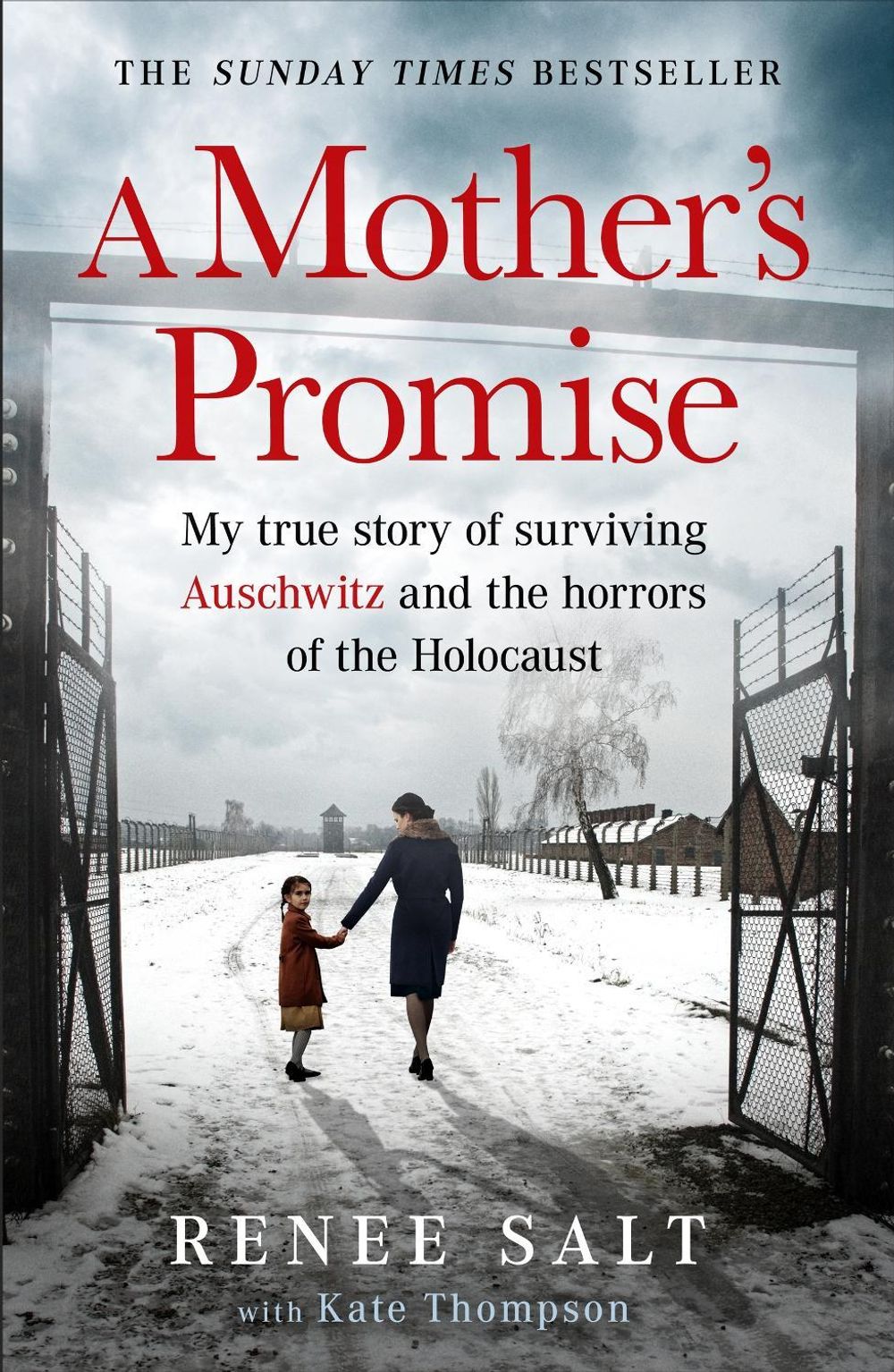 A Mother's Promise by Renee Salt - ISBN: 9781399625418