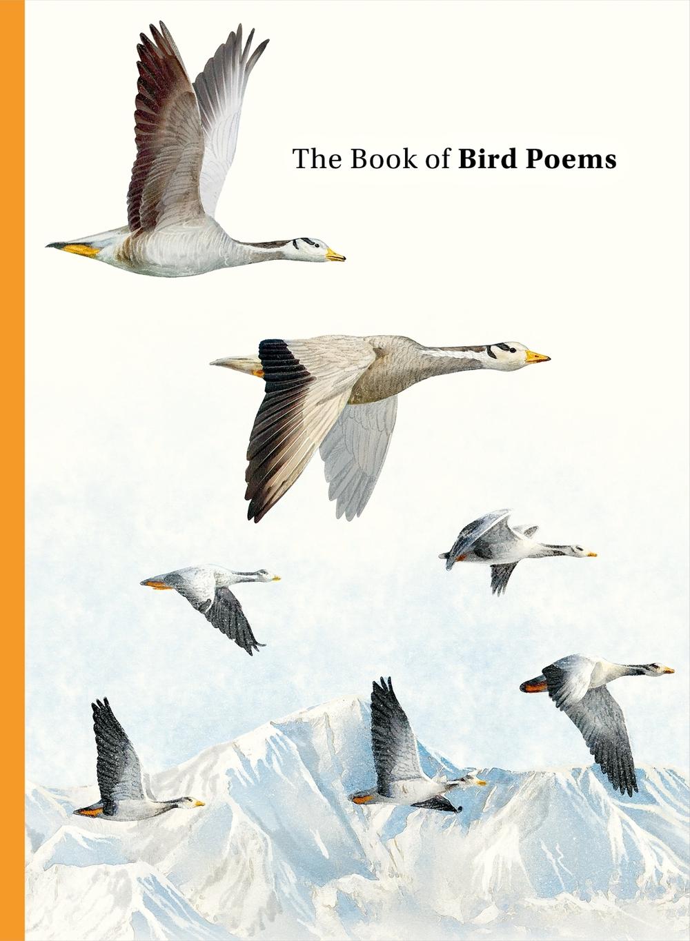 The Book of Bird Poems, 9781399625630