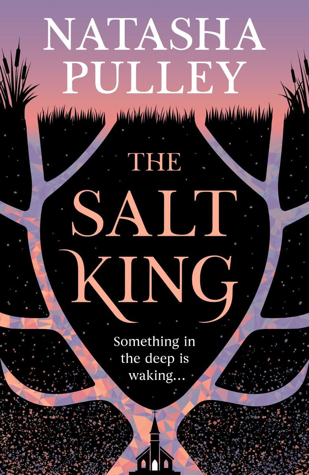 The Salt King by Natasha Pulley - ISBN: 9781399632973