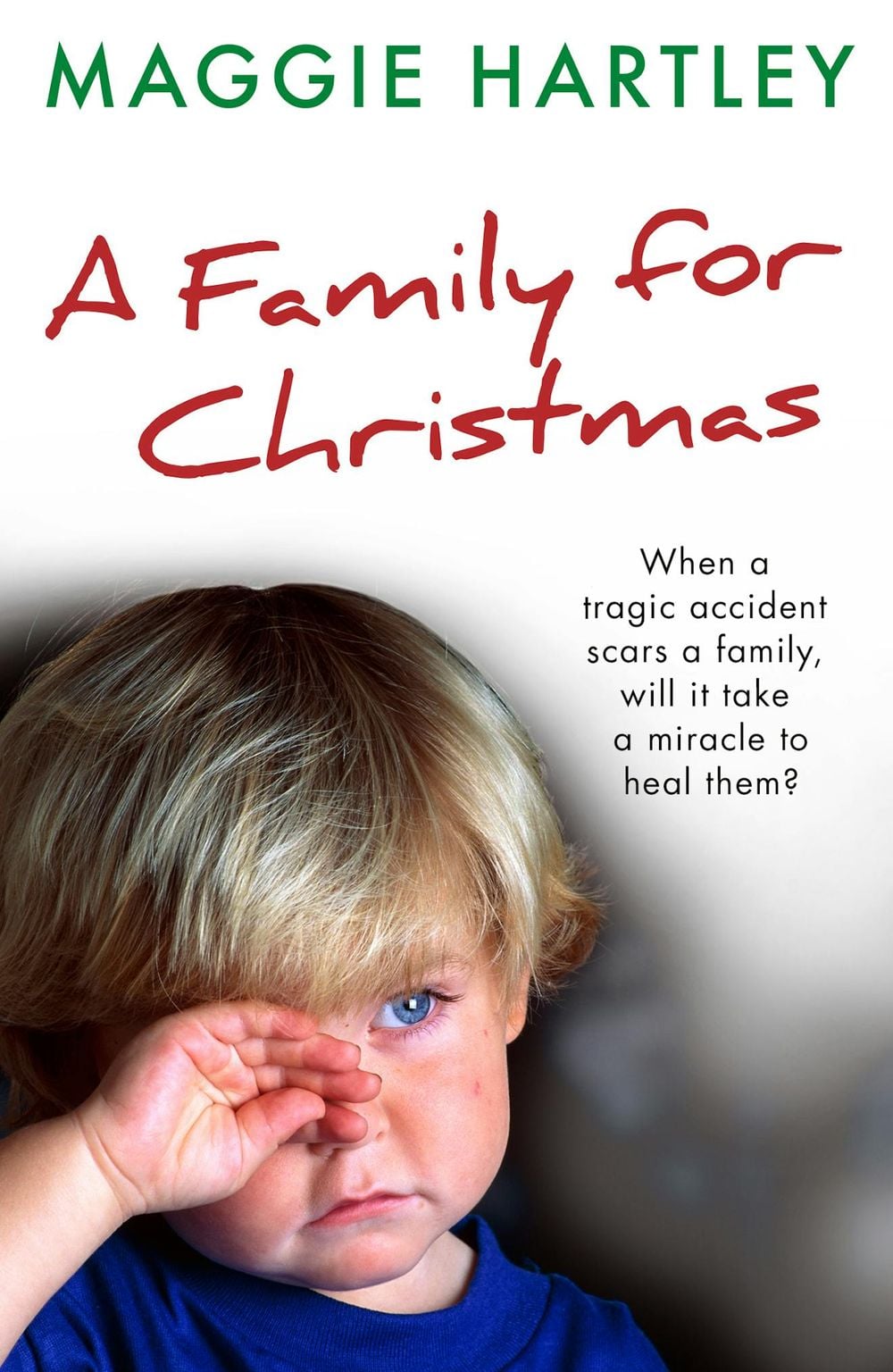 A Family for Christmas by Maggie Hartley - ISBN: 9781399646420