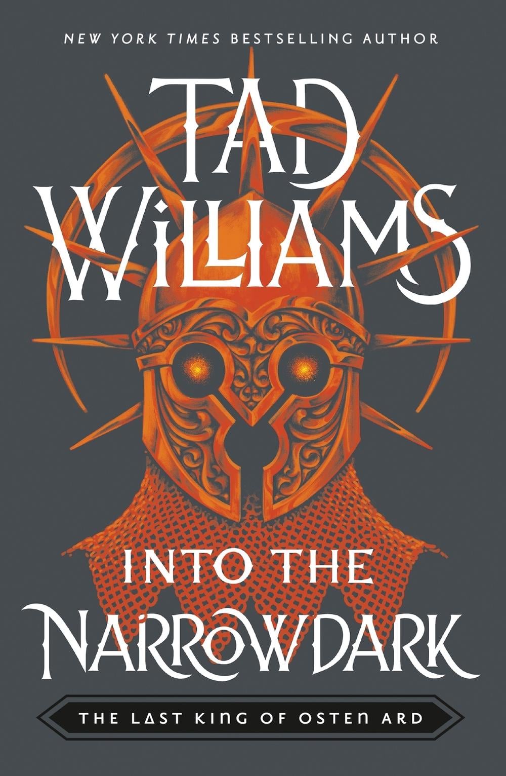 Into the Narrowdark by Tad Williams - ISBN: 9781399706636