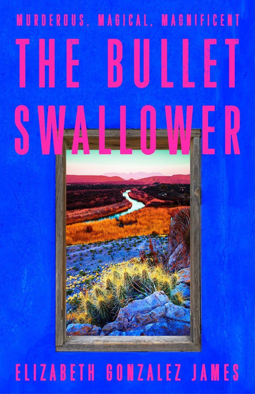 The Bullet Swallower by Elizabeth Gonzalez James - ISBN: 9781399709071