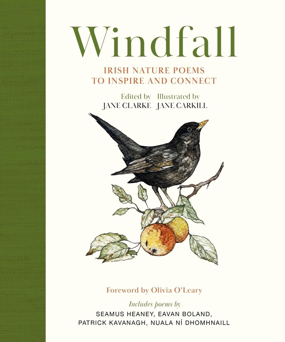Windfall by Jane Clarke - ISBN: 9781399729611