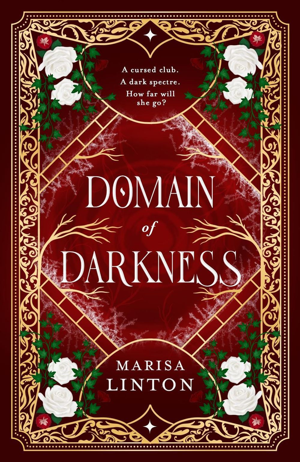 Domain of Darkness by Marisa Linton - ISBN: 9781399740241