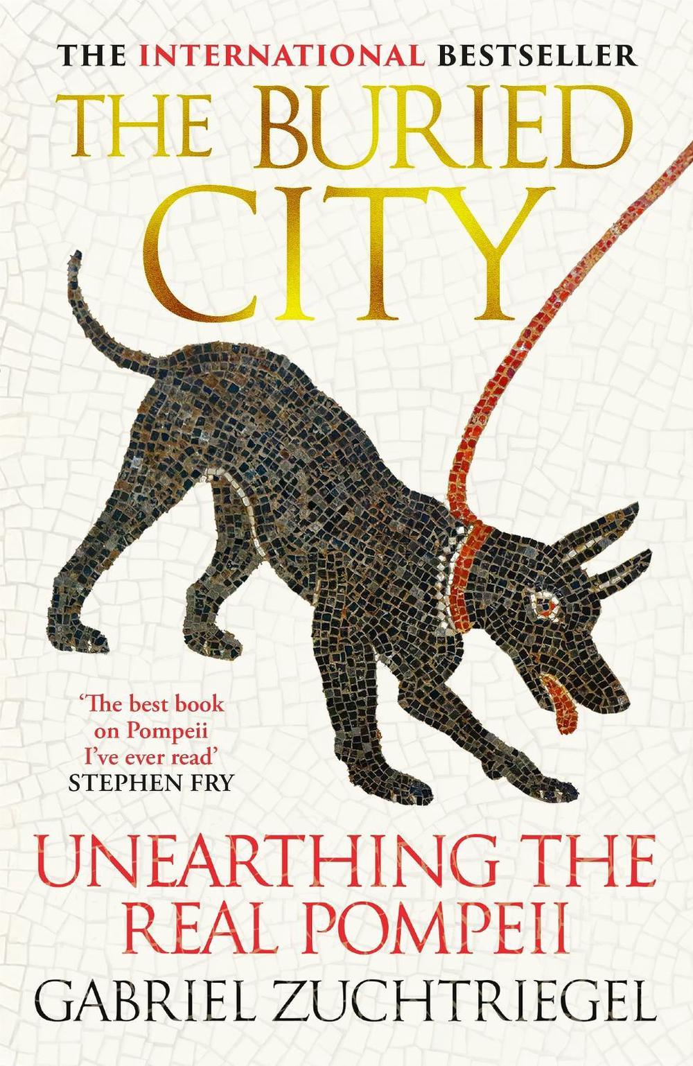 The Buried City, 9781399741729