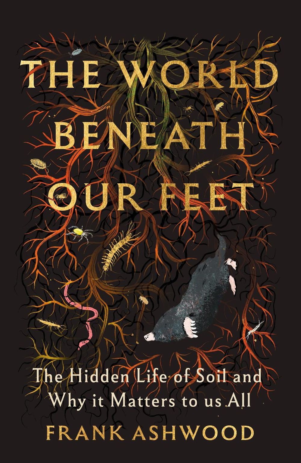 The World Beneath Our Feet by Frank Ashwood - ISBN: 9781399742474