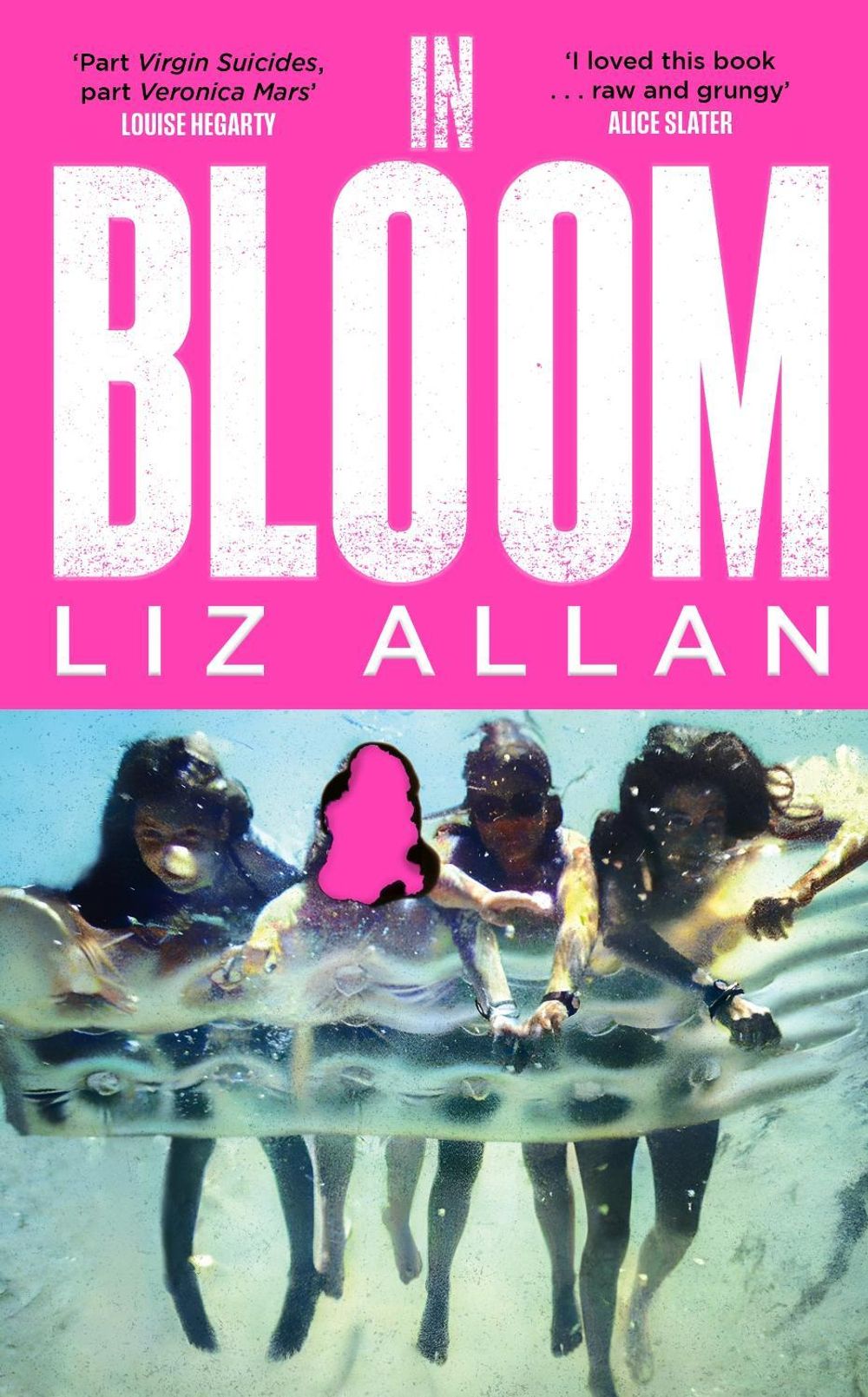 In Bloom by Liz Allan - ISBN: 9781399748285