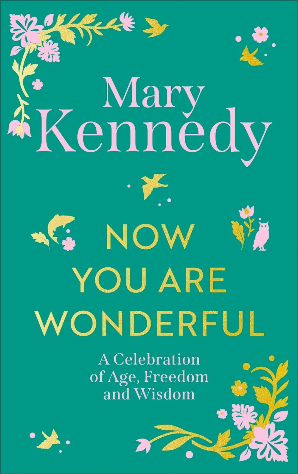 Now You Are Wonderful by Mary Kennedy - ISBN: 9781399756808