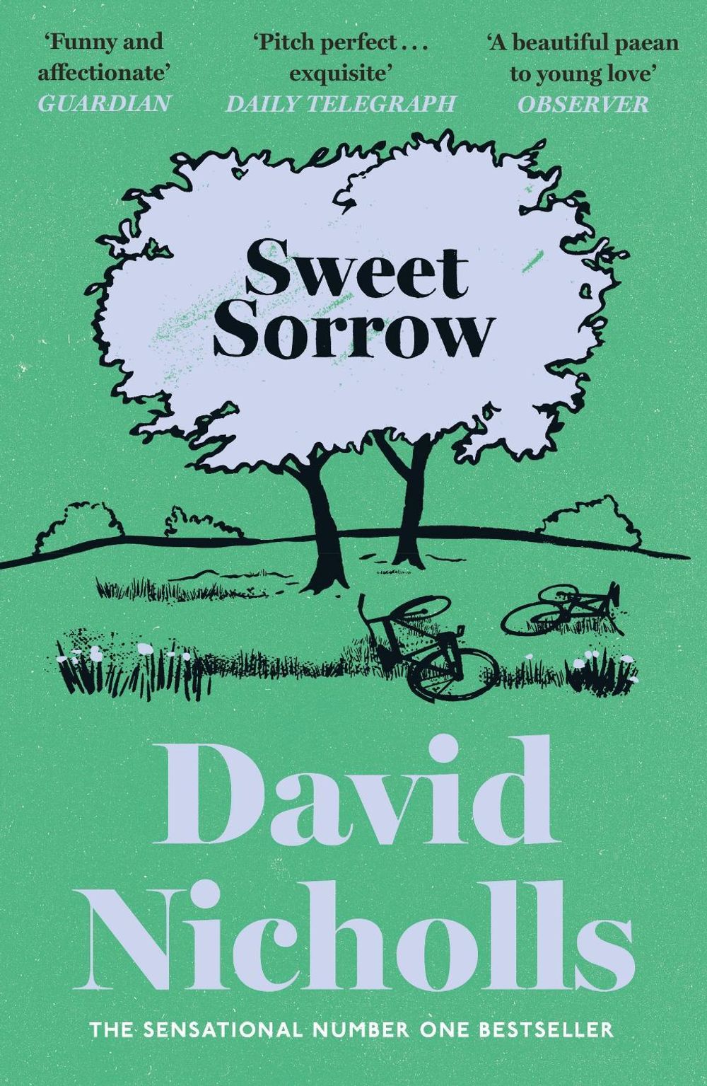 Sweet Sorrow by David Nicholls - ISBN: 9781399765237