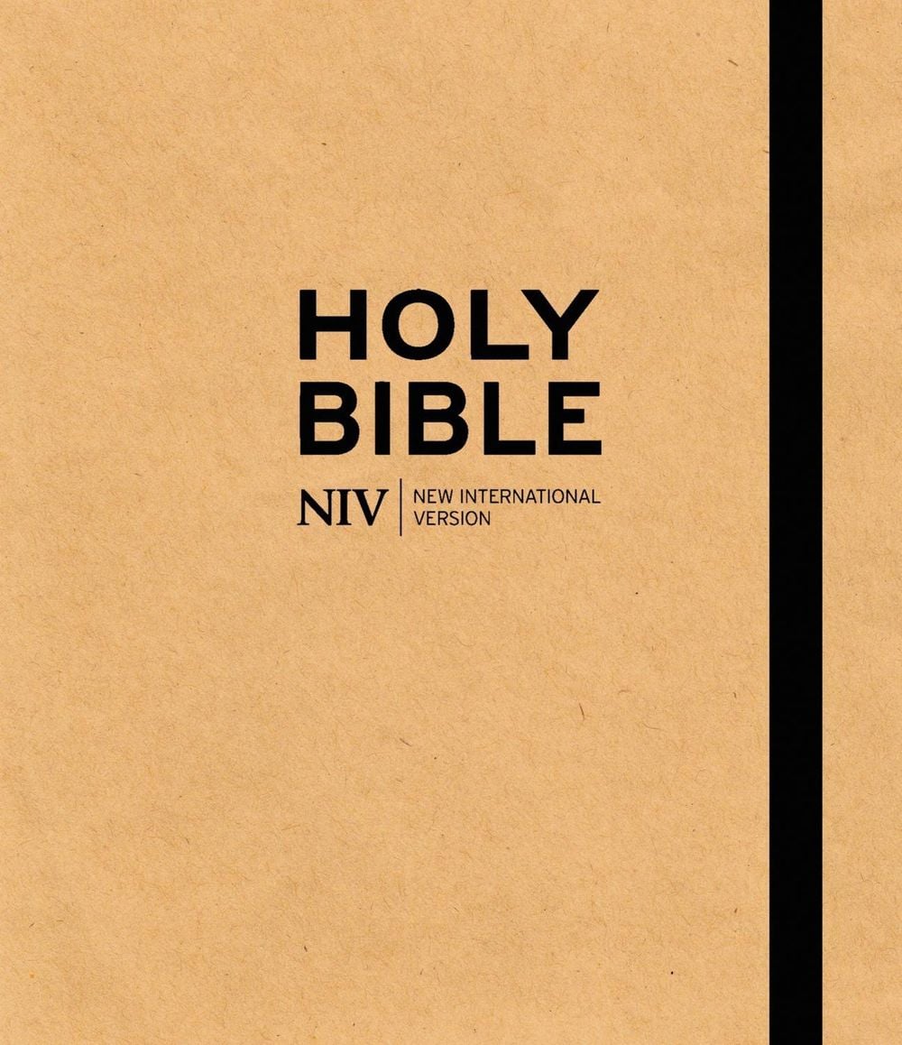 NIV Art Bible by New International Version - ISBN: 9781399801621