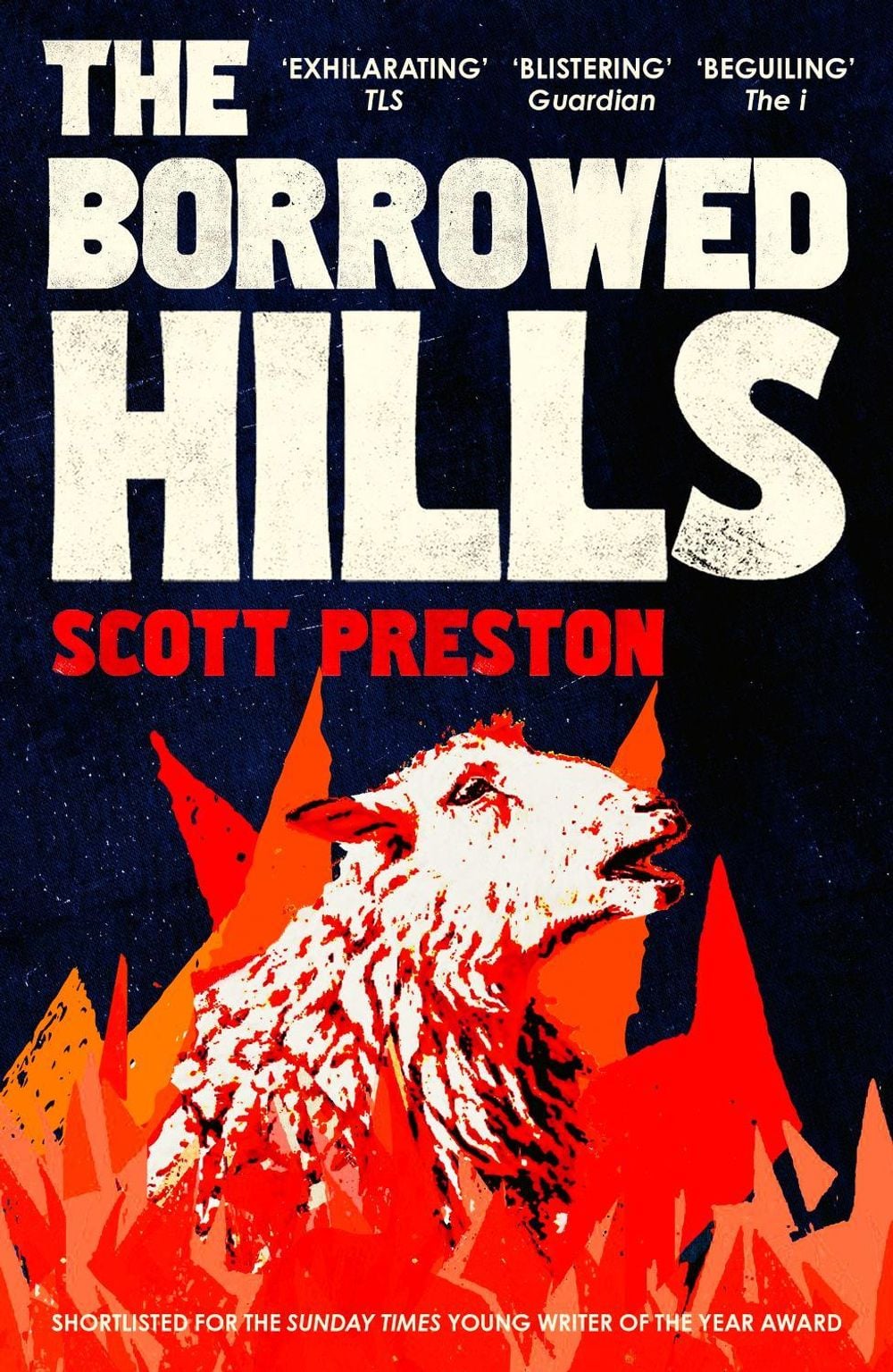 The Borrowed Hills by Scott Preston - ISBN: 9781399812863