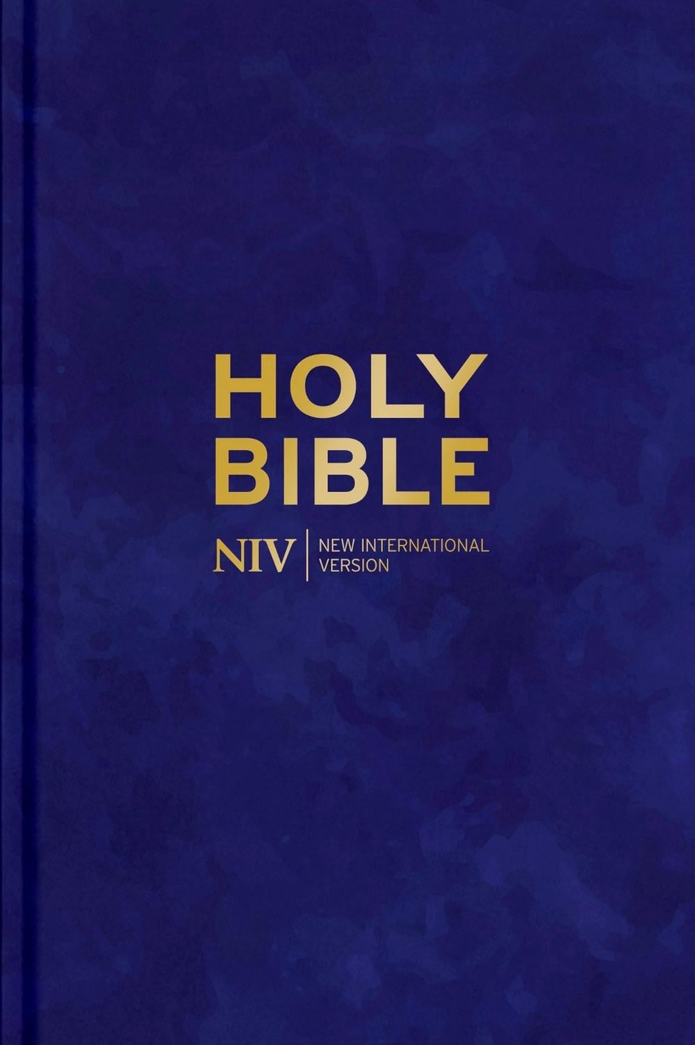 NIV Larger Print Personal Velvet Bible by New International Version - ISBN: 9781399816588