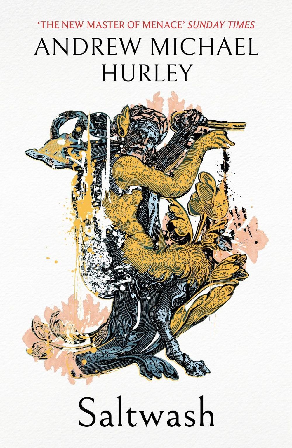 Saltwash by Andrew Michael Hurley - ISBN: 9781399817554