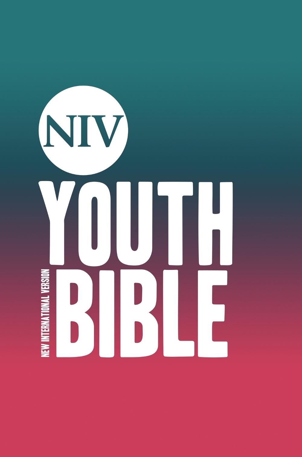 NIV Youth Bible Hardback, 9781399818971
