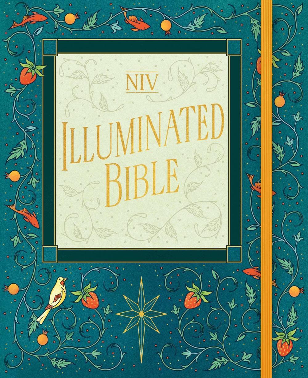 NIV Illuminated Bible by New International Version - ISBN: 9781399820523