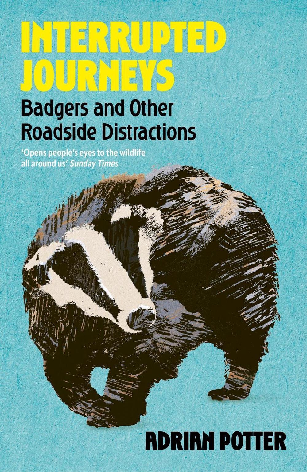 Interrupted Journeys by Adrian Potter - ISBN: 9781399822411