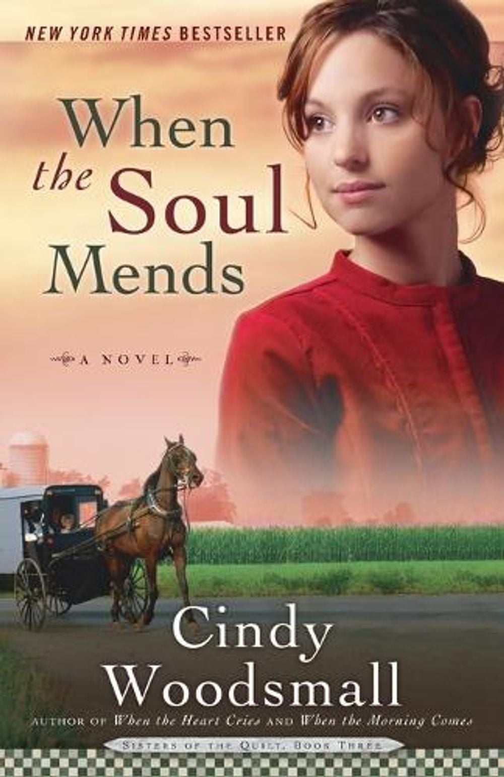 When the Soul Mends by Cindy Woodsmall - ISBN: 9781400072941
