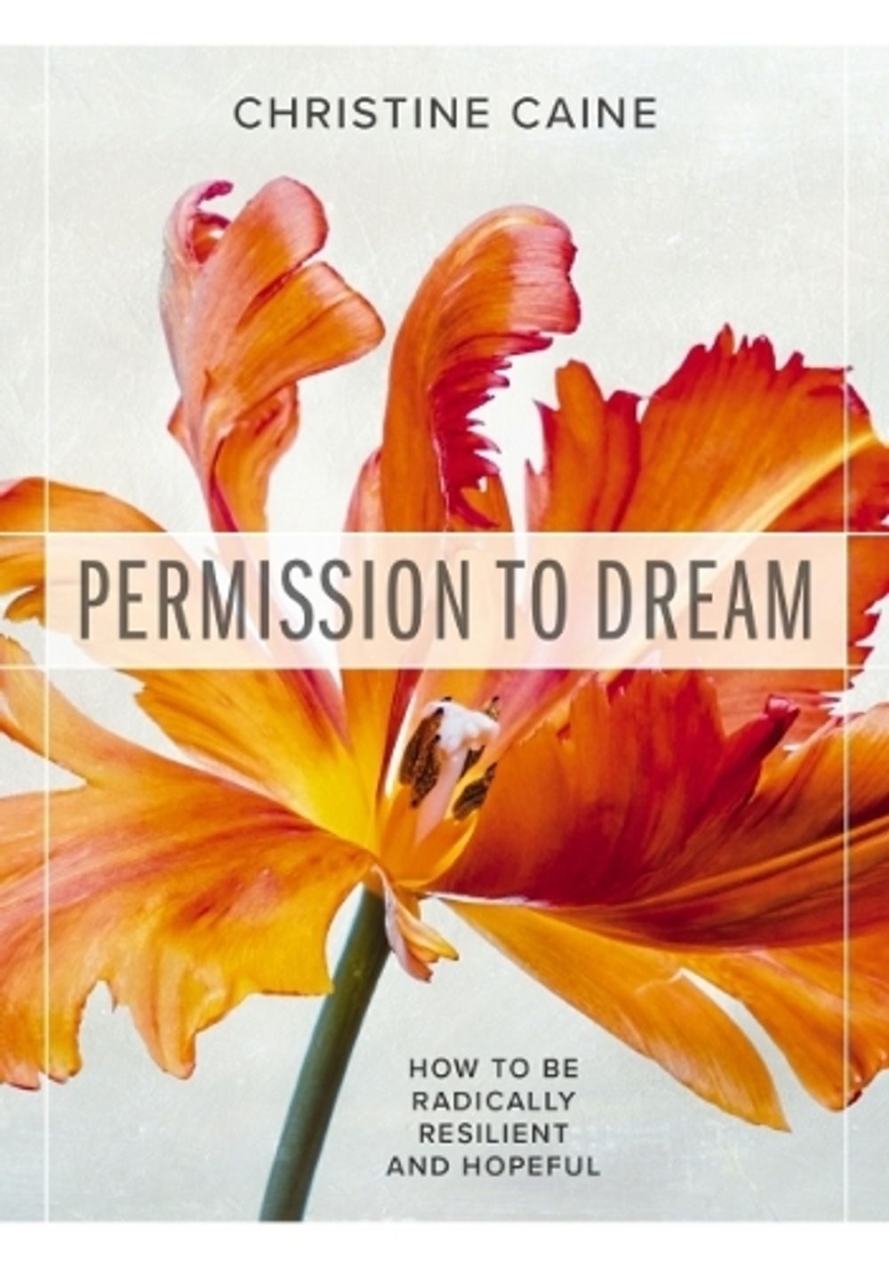 Permission to Dream by Christine Caine - ISBN: 9781400336876