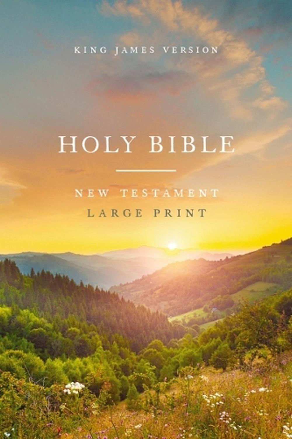 KJV Large Print Outreach New Testament Bible, Scenic Softcover, Comfort Print, 9781400343621