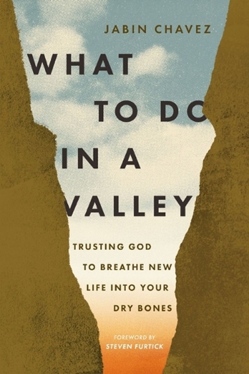 What to Do in a Valley by Jabin Chavez - ISBN: 9781400349722