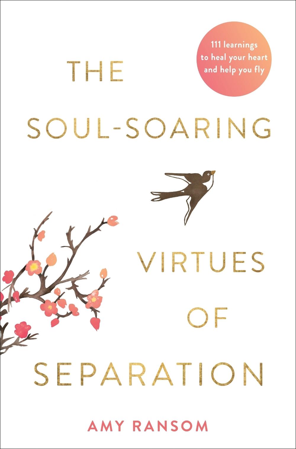 The Soul-Souring Virtues of Separation, 9781401963187