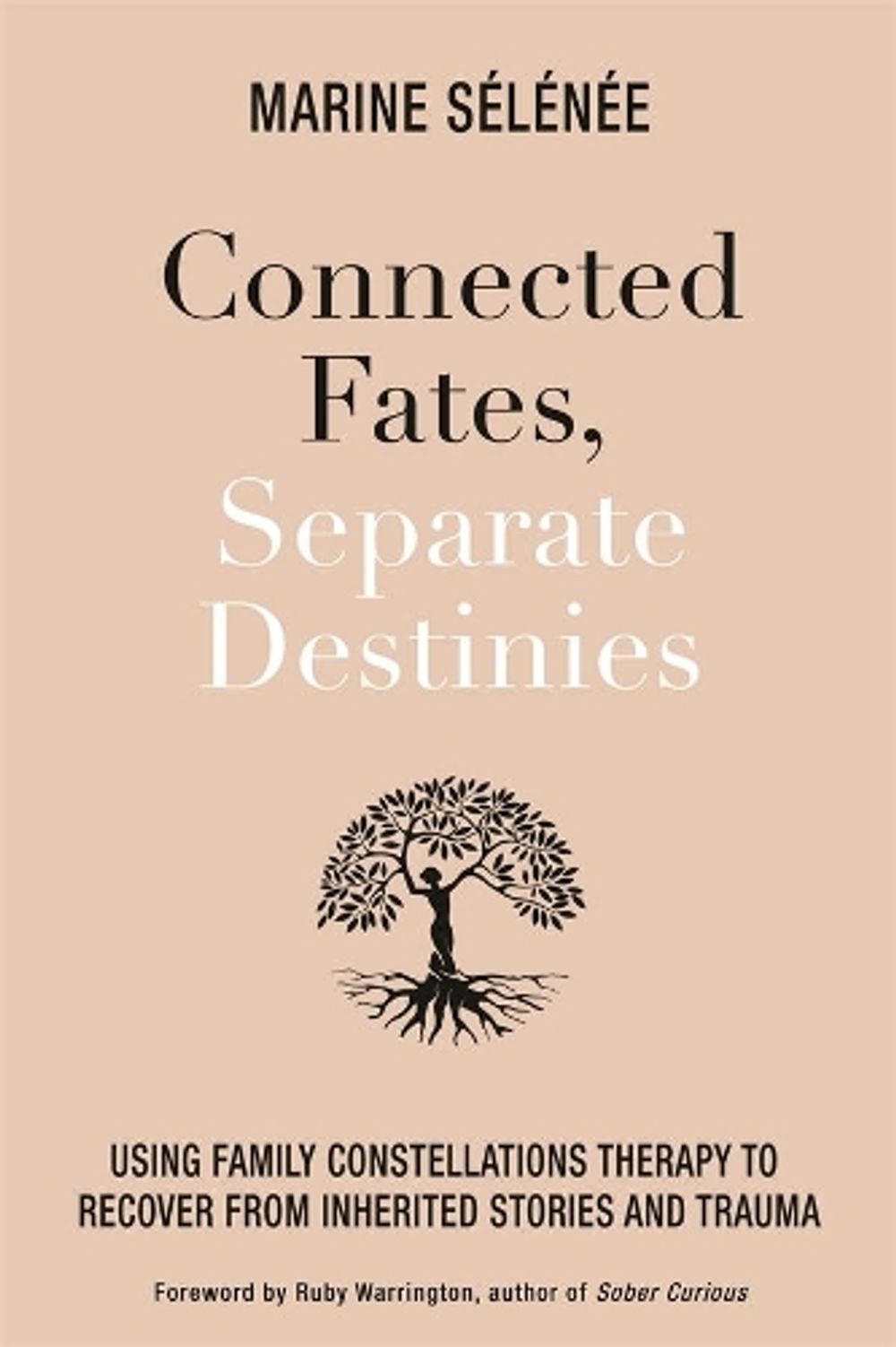 Connected Fates, Separate Destinies by Marine Selenee - ISBN: 9781401966713