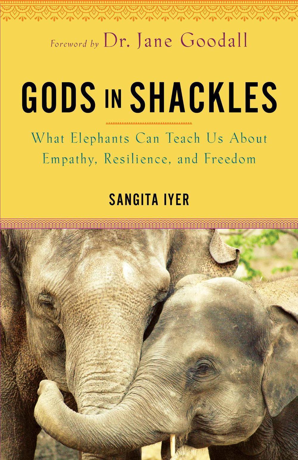 Gods in Shackles, 9781401968847