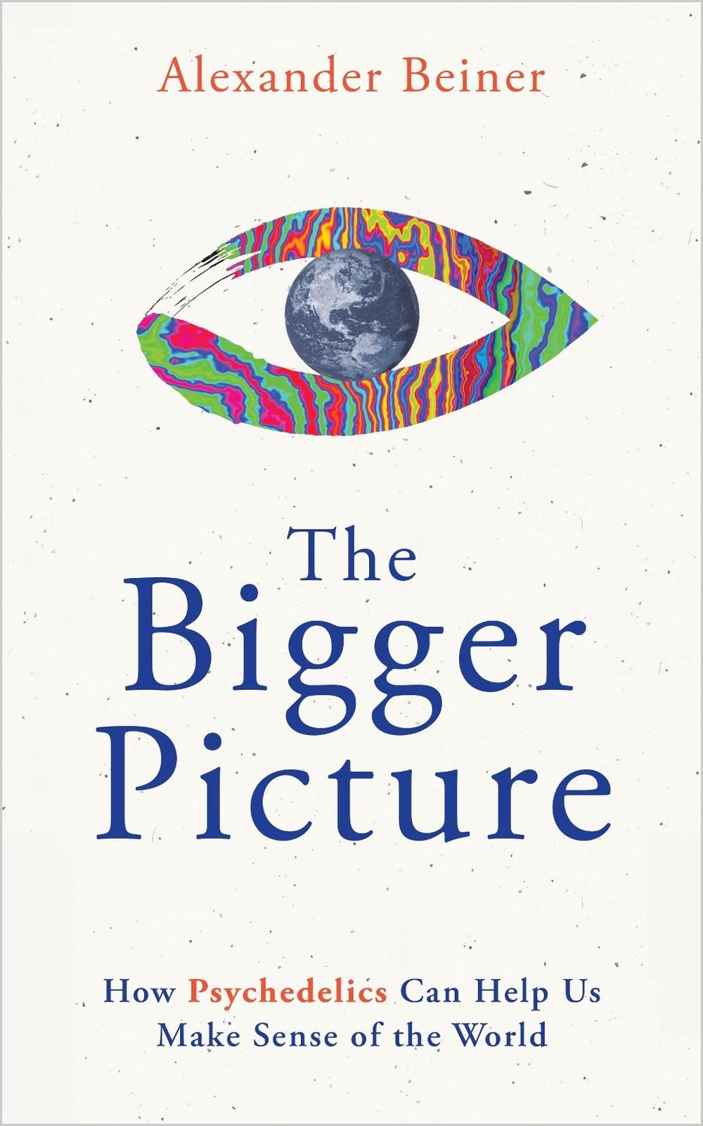 The Bigger Picture by Alexander Beiner - ISBN: 9781401975210
