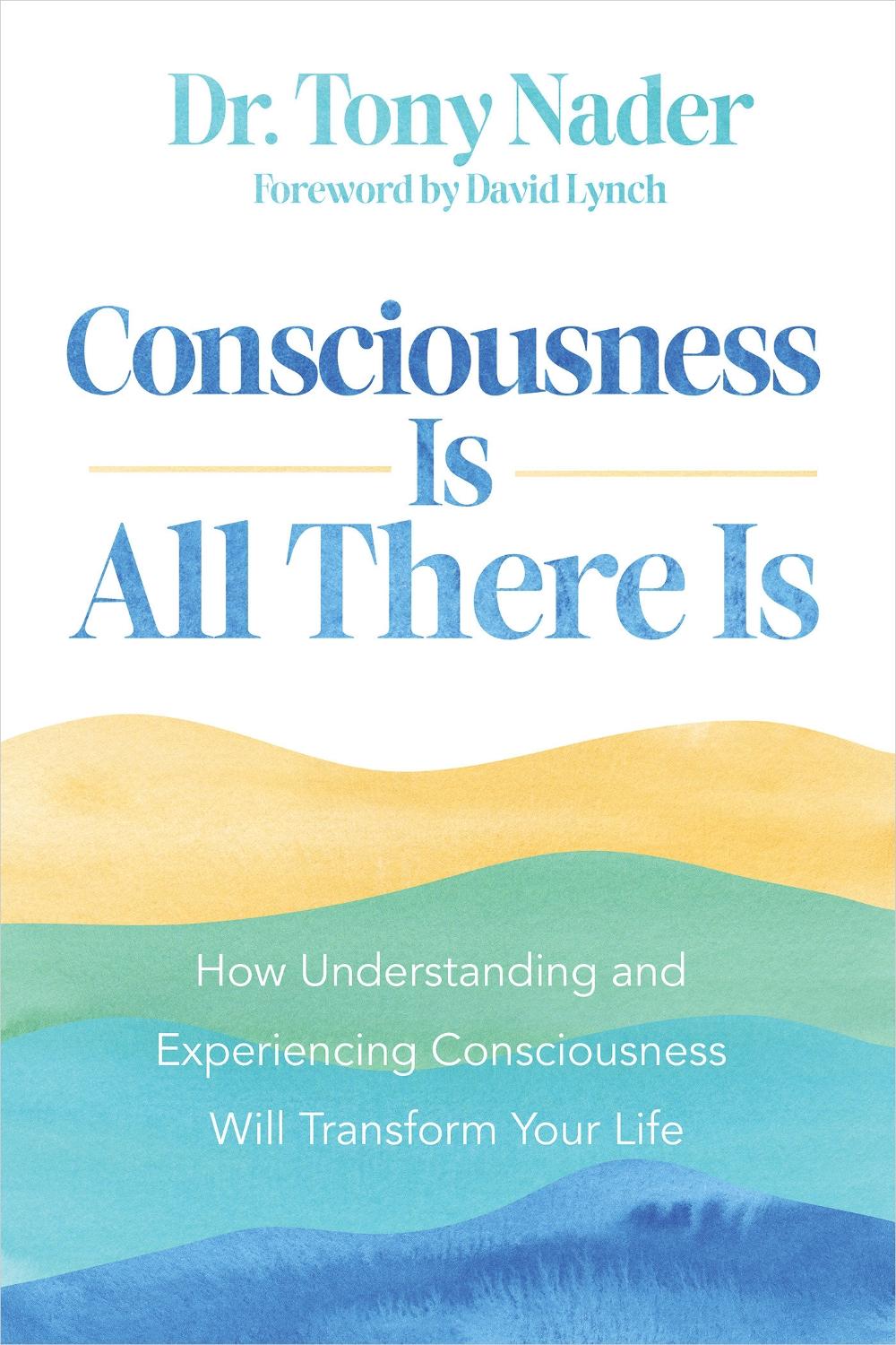 Consciousness Is All There Is, 9781401976507