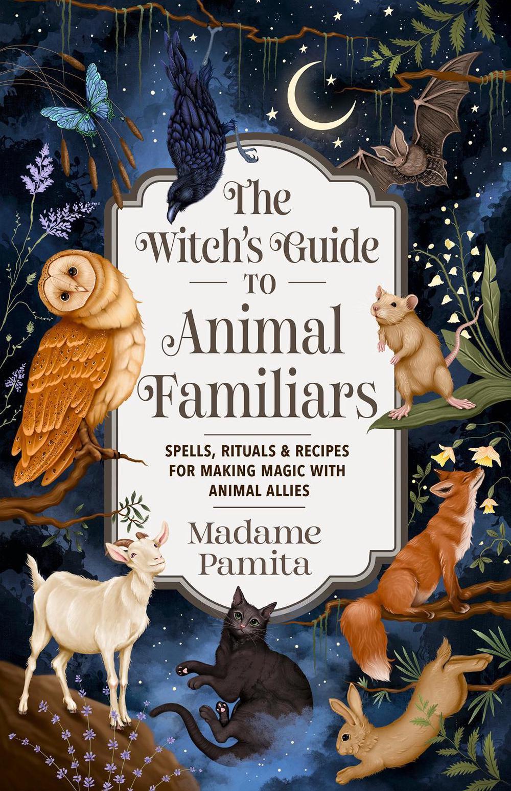 The Witch's Guide to Animal Familiars, 9781401978815