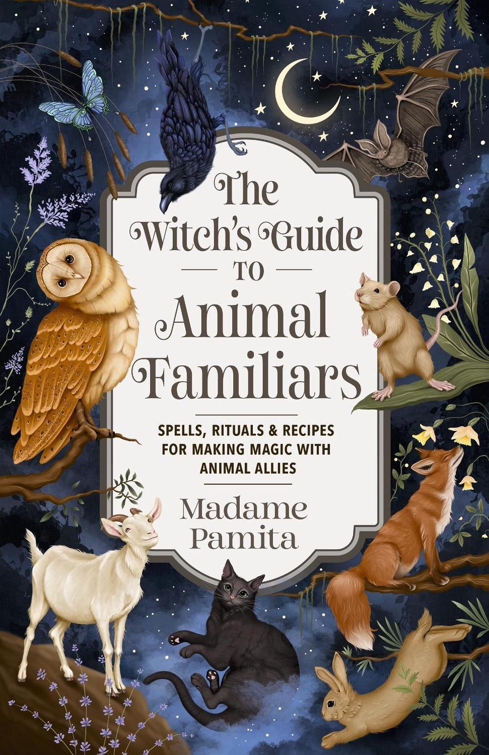The Witch's Guide to Animal Familiars, 9781401995492