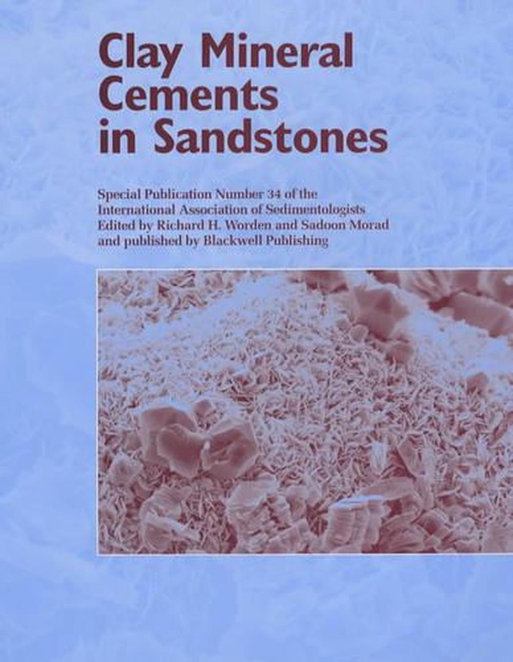 Clay Mineral Cements in Sandstones, 1st Edition, 9781405105873