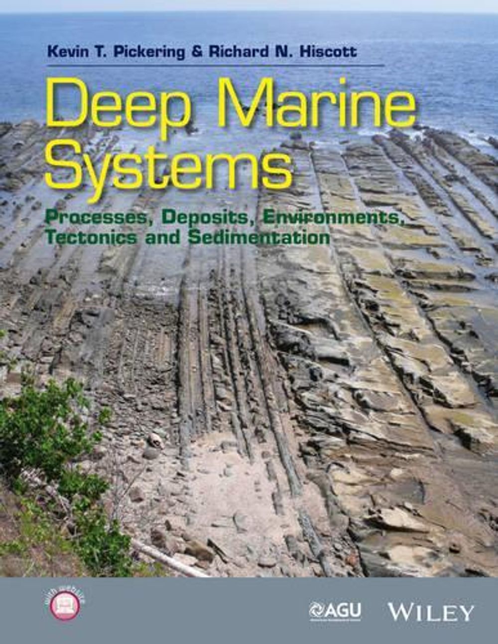 Deep Marine Systems, 1st Edition by Kevin T. Pickering - ISBN: 9781405125789