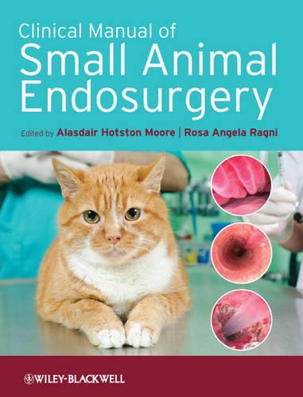 Clinical Manual of Small Animal Endosurgery, 9781405190015