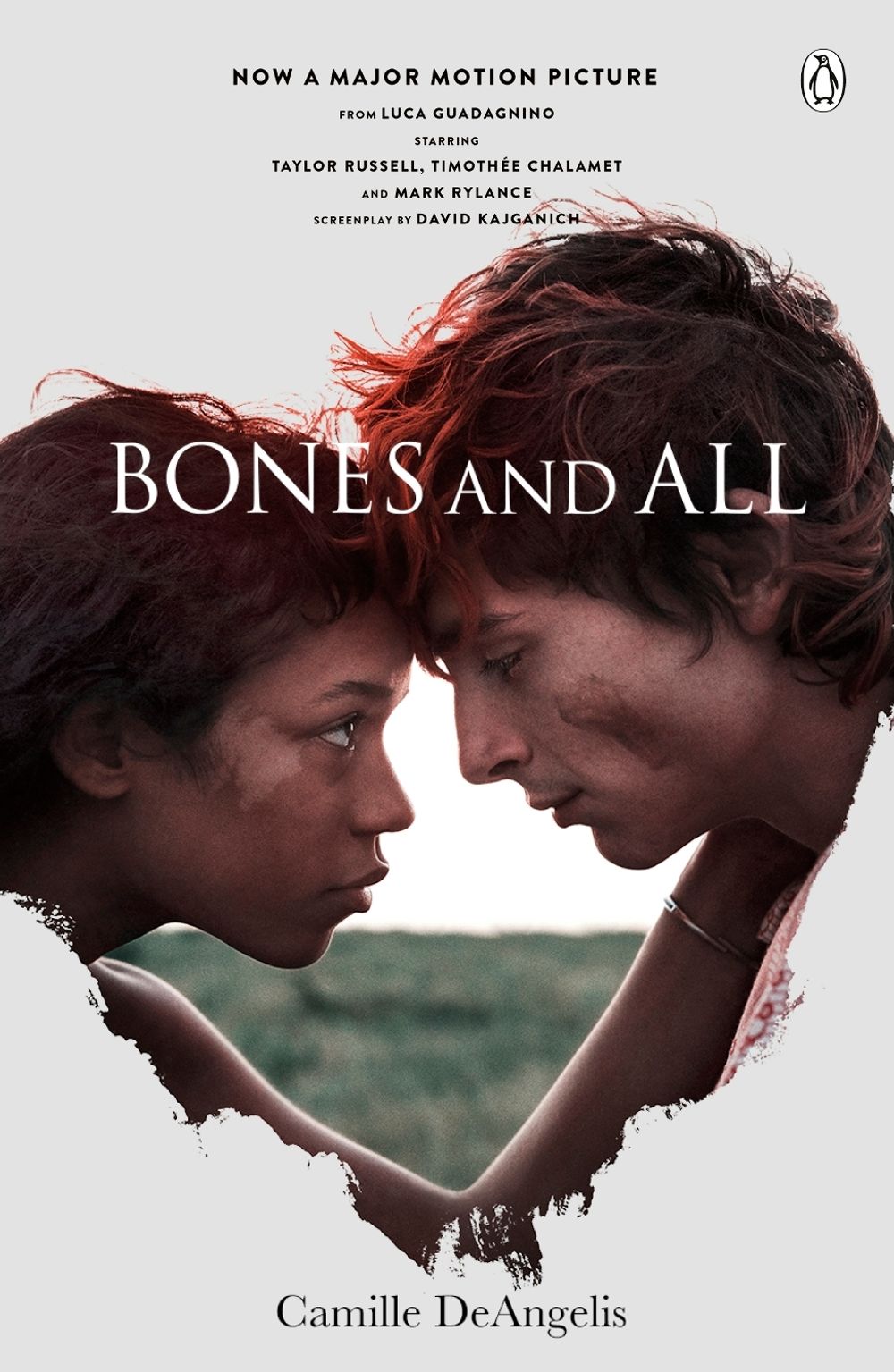 Bones & All by Camille DeAngelis - ISBN: 9781405916264
