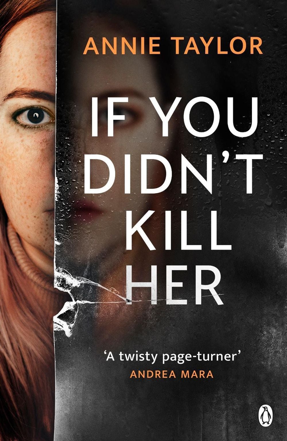 If You Didn’t Kill Her by Annie Taylor - ISBN: 9781405954600