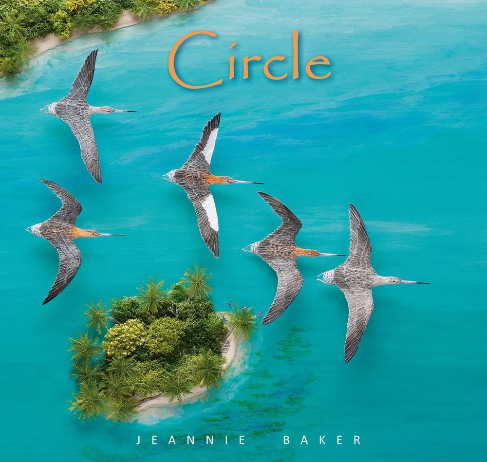 Circle by Jeannie Baker - ISBN: 9781406338010