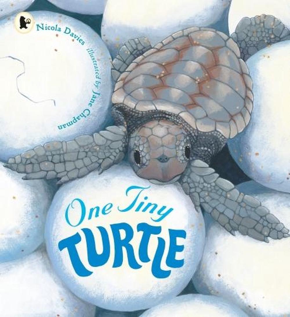 One Tiny Turtle, 9781406364637