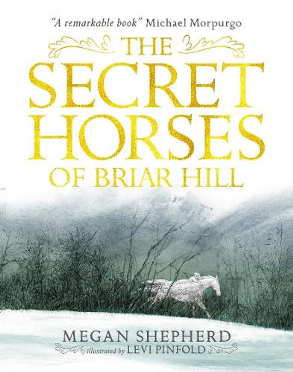 The Secret Horses of Briar Hill by Megan Shepherd - ISBN: 9781406373554