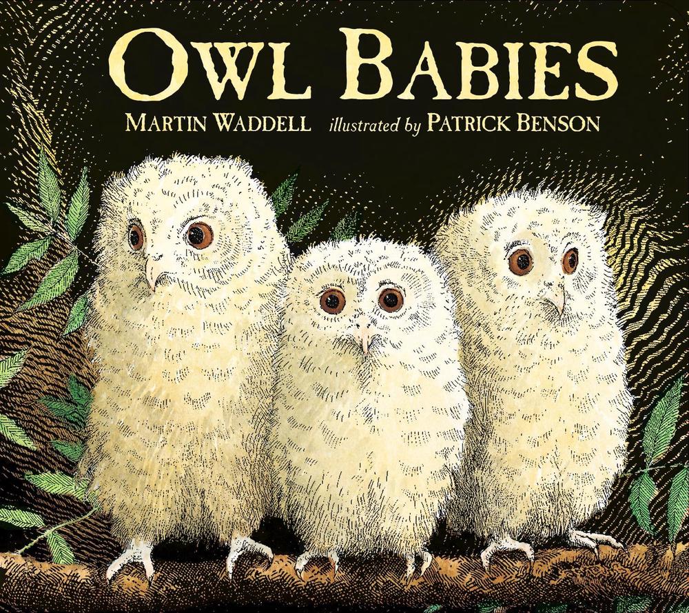 Owl Babies, 9781406374377