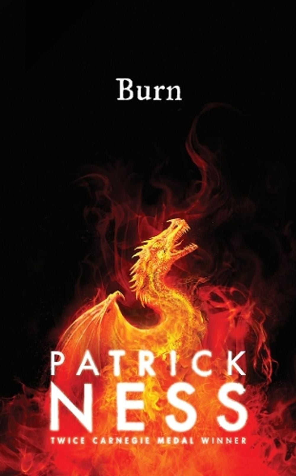 Burn by Patrick Ness - ISBN: 9781406375503