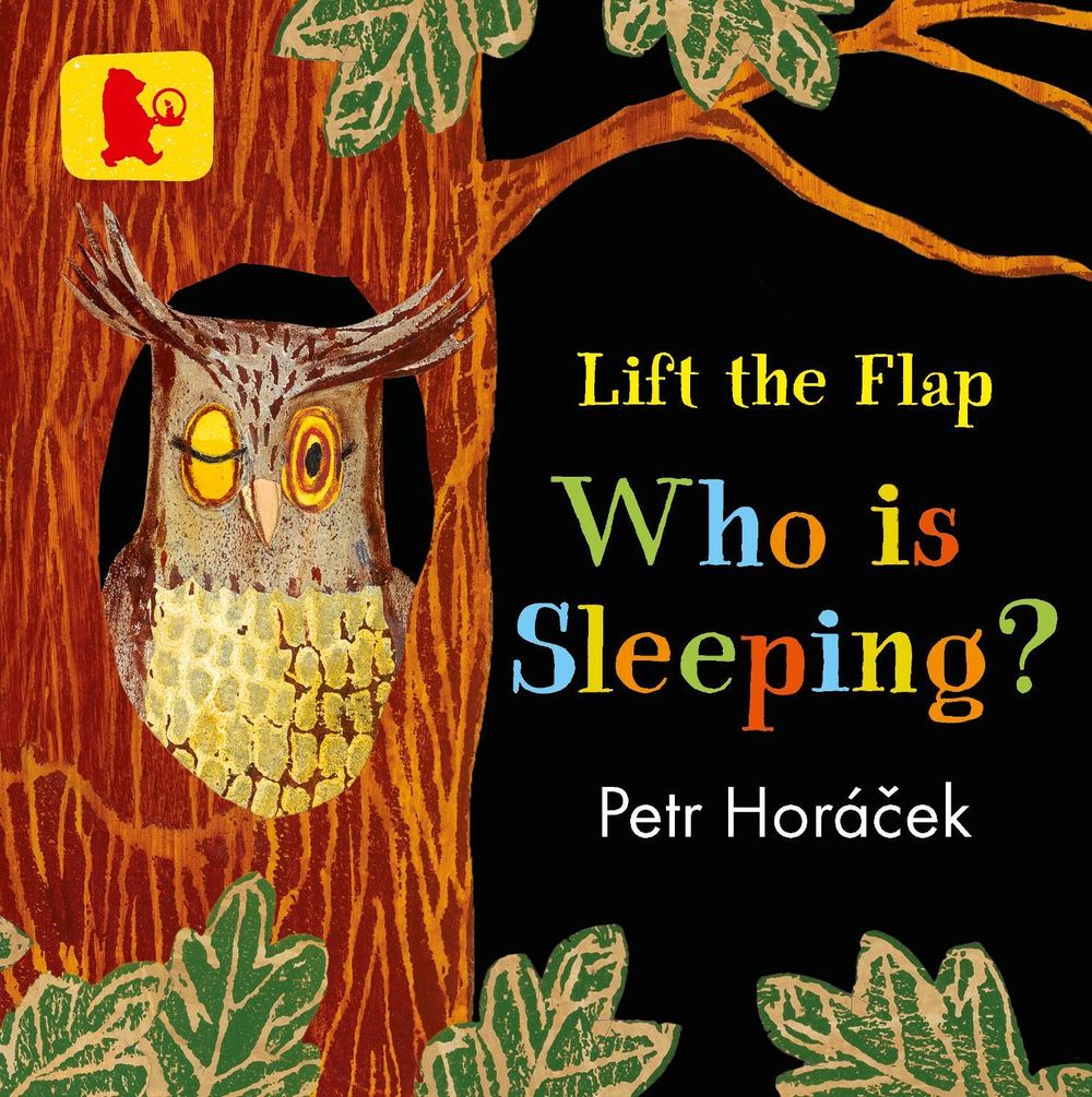 Who Is Sleeping? by Petr Horácek - ISBN: 9781406377316