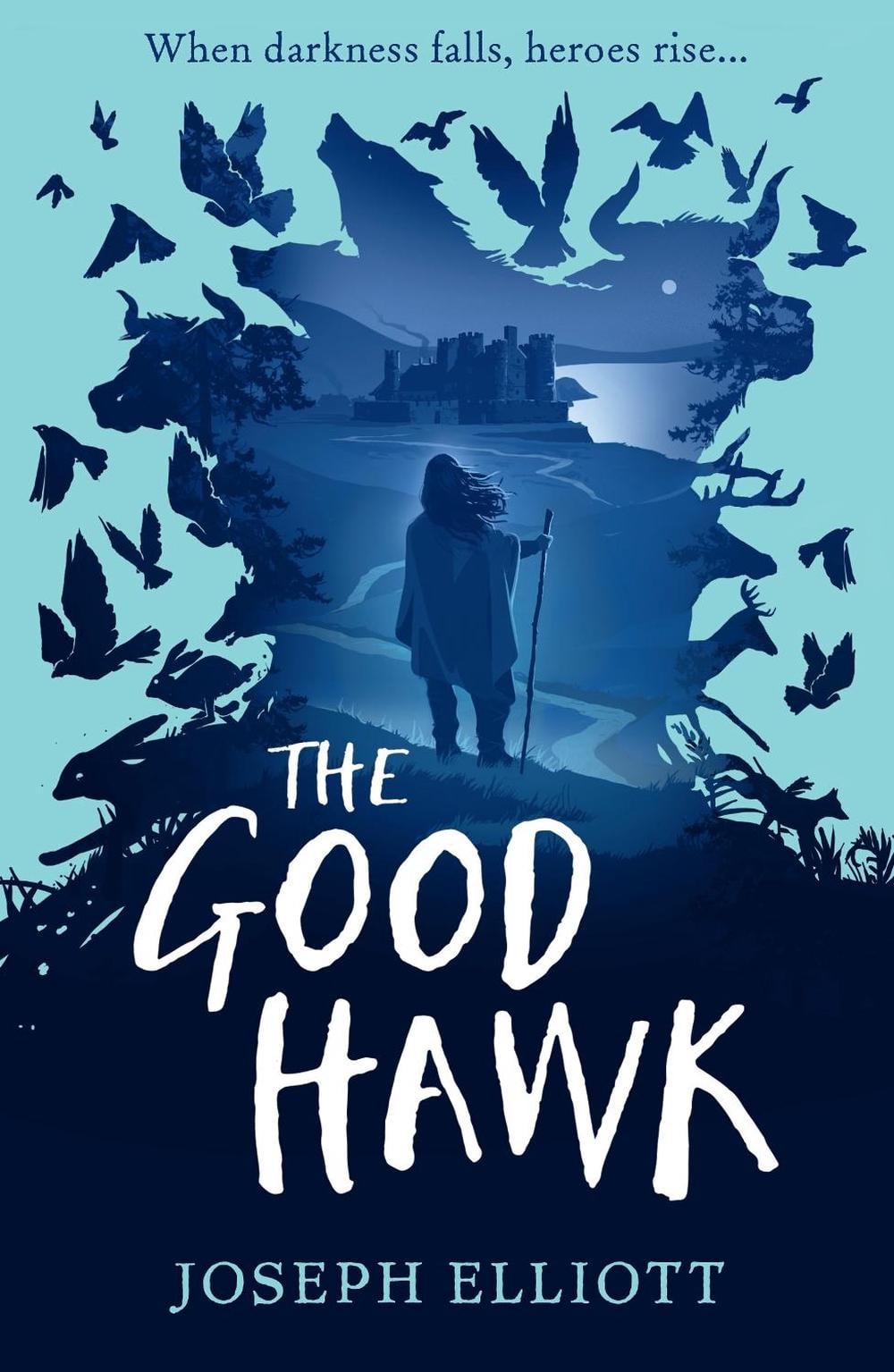 The Good Hawk (Shadow Skye, Book One) by Joseph Elliott - ISBN: 9781406385854