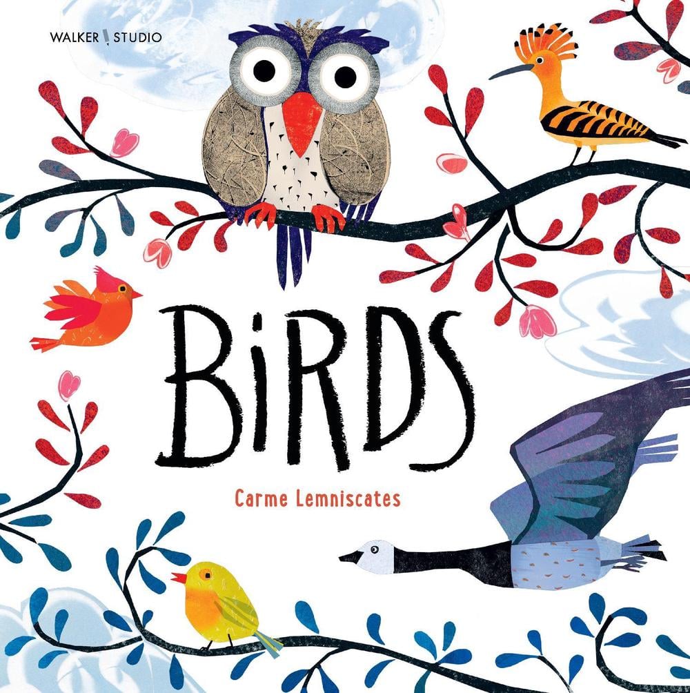Birds by Carme Lemniscates - ISBN: 9781406387339