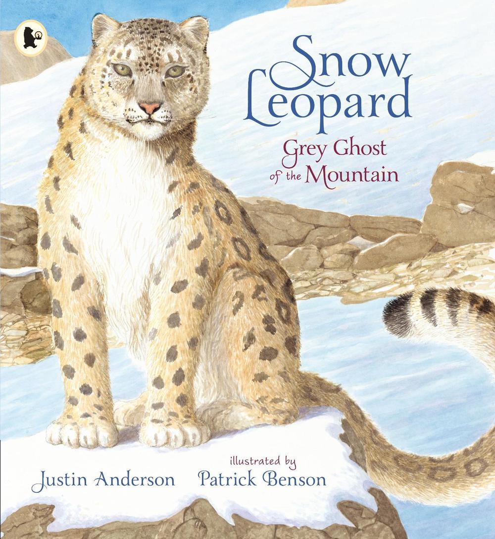 Snow Leopard: Grey Ghost of the Mountain, 9781406391985
