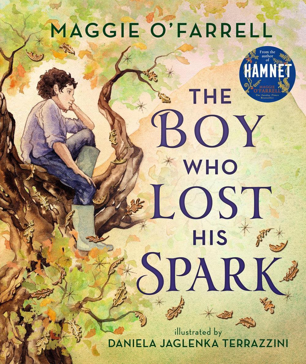 The Boy Who Lost His Spark, 9781406392012