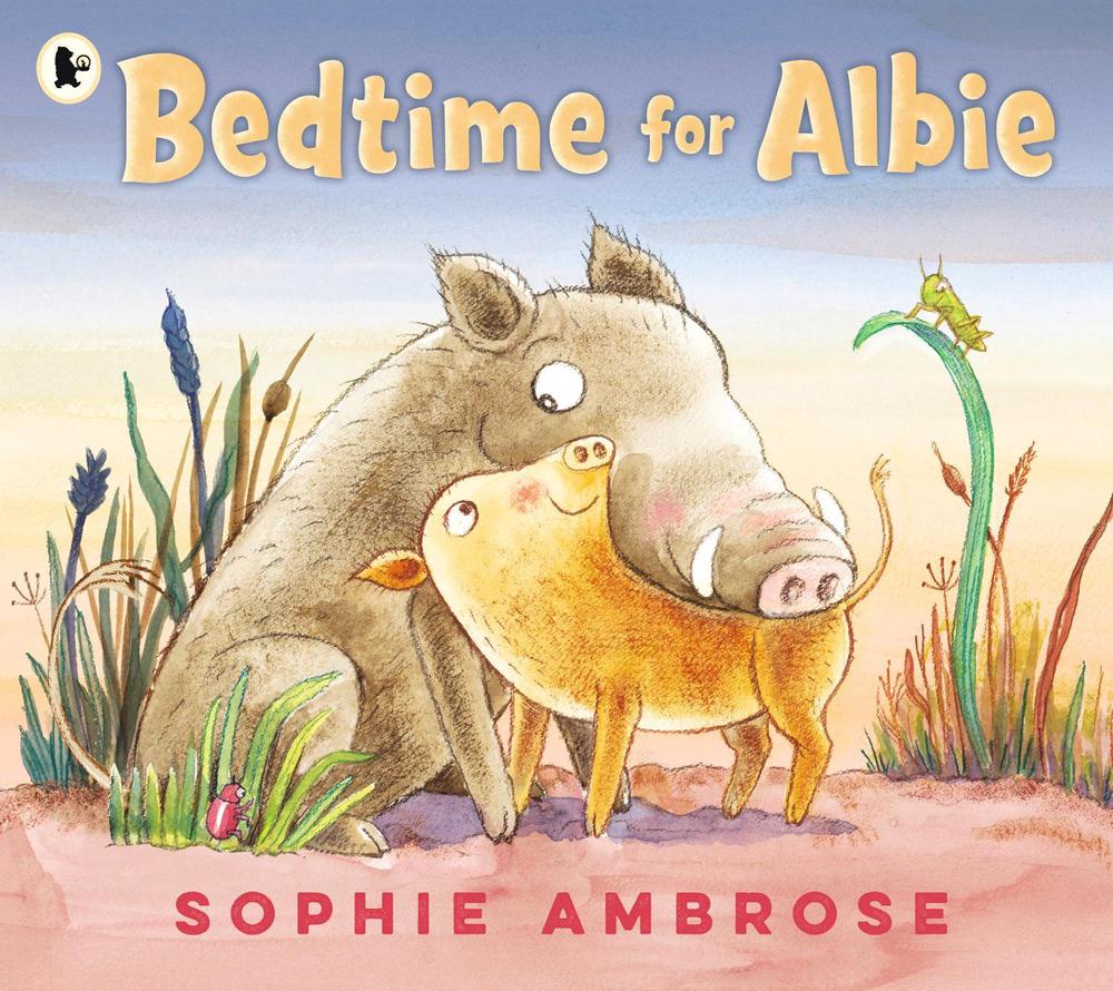 Bedtime for Albie by Sophie Ambrose - ISBN: 9781406392883