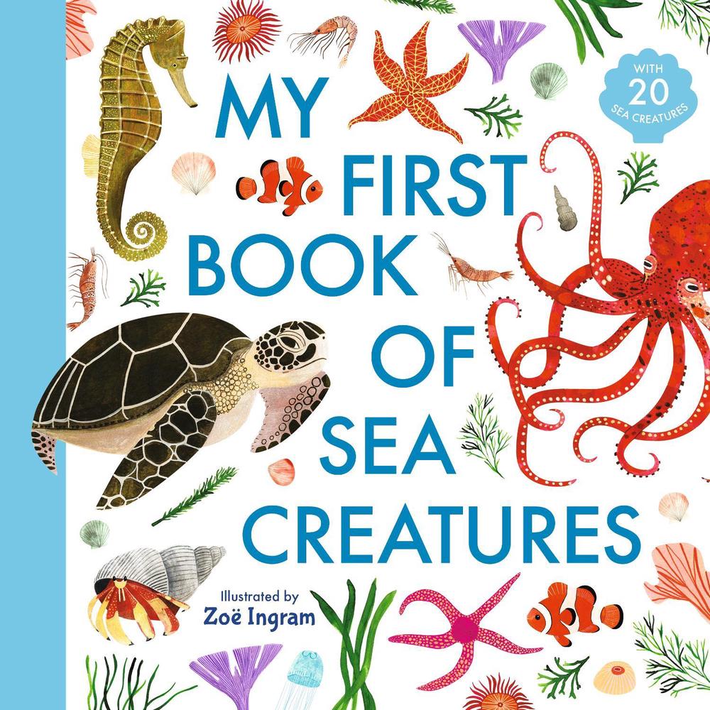 My First Book of Sea Creatures, 9781406394924