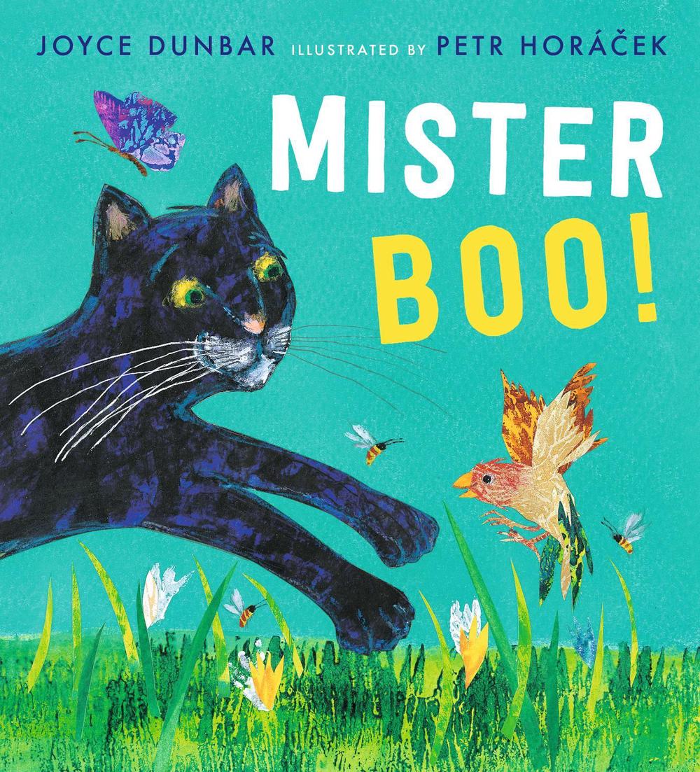 Mister Boo! by Joyce Dunbar - ISBN: 9781406395686